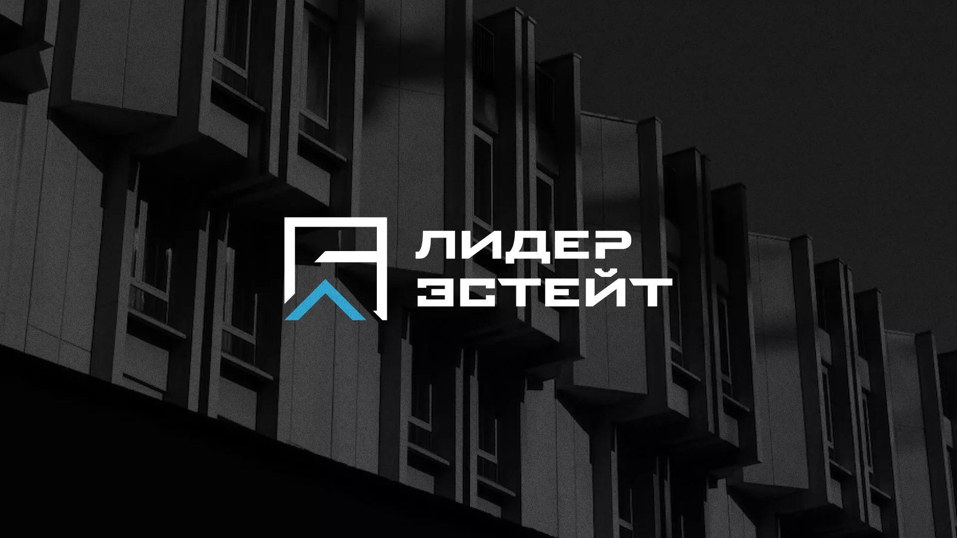 Разработка логотипа агентства недвижимости «Лидер Эстейт» в Комсомольске